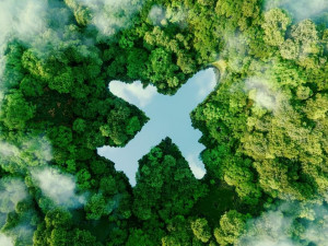 Managing carbon emissions: A ‘how to’ guide for international business travellers