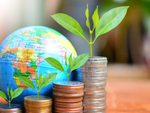 What are the best ways of managing your international savings?