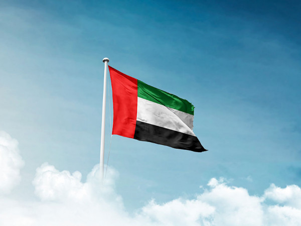 What is the currency of the UAE?